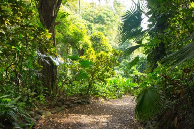 La Vanille Doğal Parkı Mauritius.
