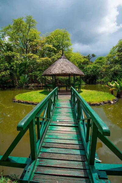 Botanik Bahçesi Pamplemoussları, Mauritius.