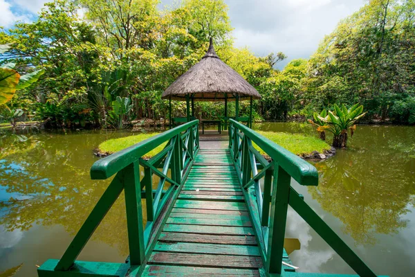 Botanik Bahçesi Pamplemoussları, Mauritius.