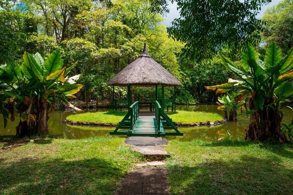 Botanik Bahçesi Pamplemoussları, Mauritius.