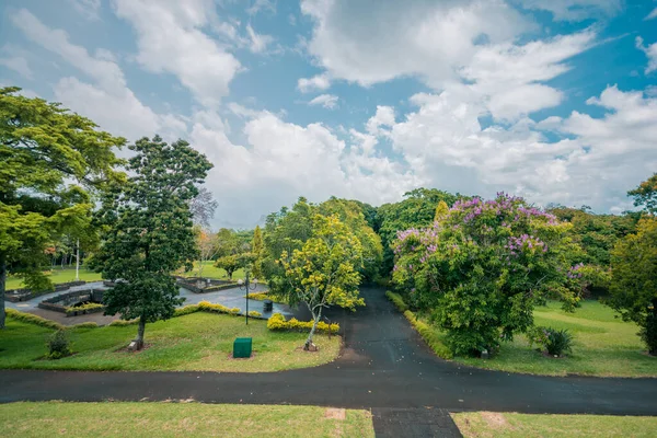 Botanical Garden Pamplemousses Mauritius — Stock Photo, Image