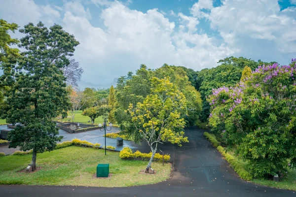 Botaniska Trädgården Pamplemousse Mauritius — Stockfoto