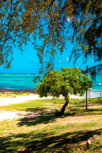 BAIN BOEUF Mauriutius. Kuzey Mauritius 'ta güzel bir sahil. Coin de Mire, Palmiye ağaçlarının arasında beyaz kumsal..