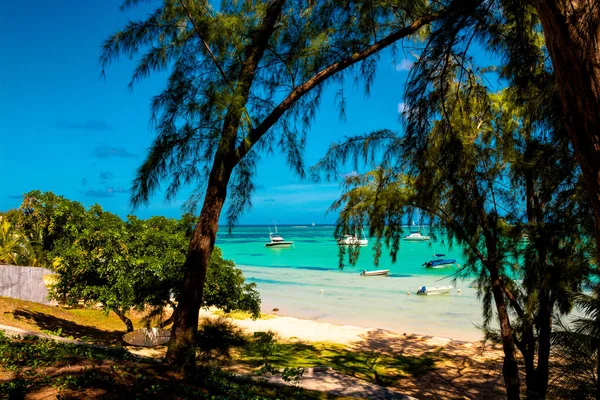 BAIN BOEUF Mauriutius. Kuzey Mauritius 'ta güzel bir sahil. Coin de Mire, Palmiye ağaçlarının arasında beyaz kumsal..