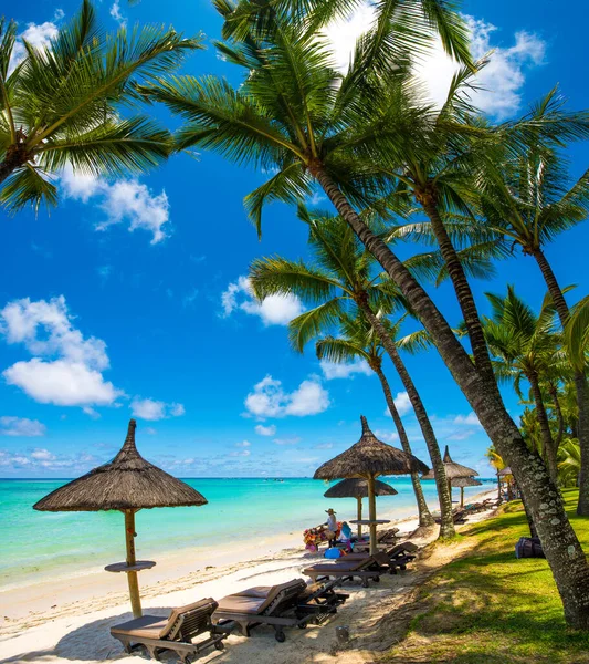 Trou Aux Biches Mauritius Tropischer Exotischer Strand Mit Palmen Und — Stockfoto