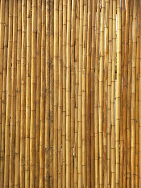 Bambu doku arka planda Tayland