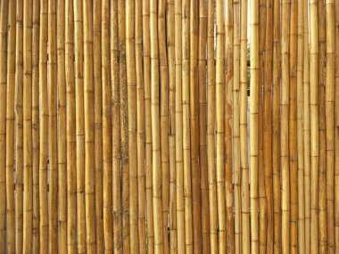 Bambu doku arka planda Tayland
