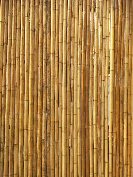 Bamboo Texture Background Thailand — Stock Photo, Image