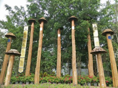 Büyük ağaç bir parkta