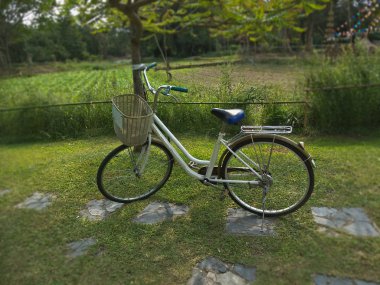 bir bisiklet bahçıvan