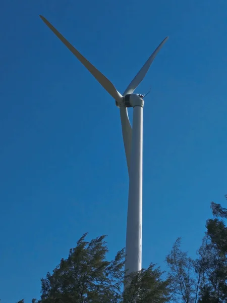 Turbina Eólica Genera Electricidad — Foto de Stock