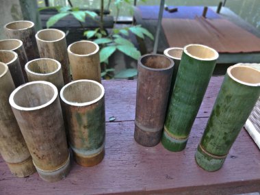 Bahçedeki bambu ağacı