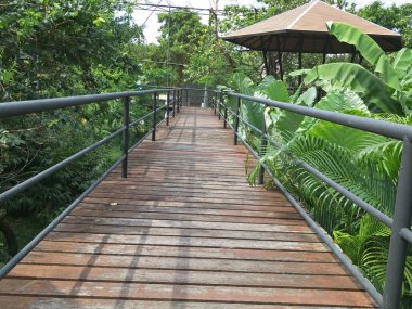 bir köprü mimarisi