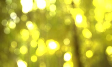 renk arka plan kutlama