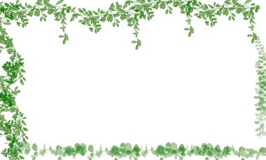 renk arka plan kutlama