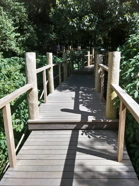 Arquitecto Puente Madera — Foto de Stock