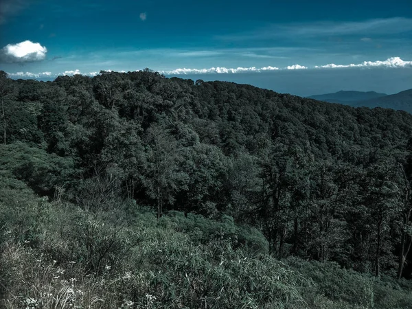 Paisagem Montanha Chiangmai Tailândia — Fotografia de Stock