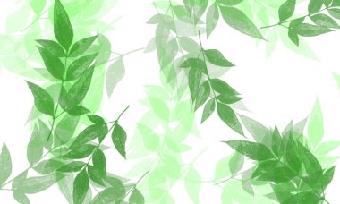 Renkli ağaç ve yaprak resimde