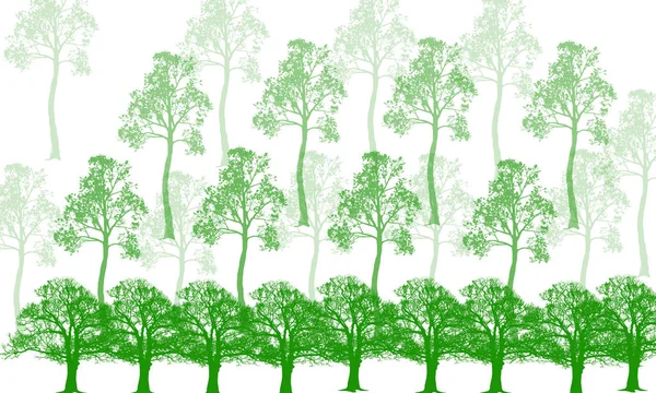 güzel bitki resimde arka plan üzerinde