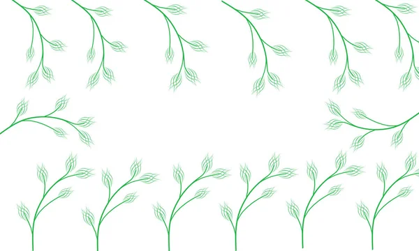 Beautiful Plants Illustration Background — Stock Photo, Image