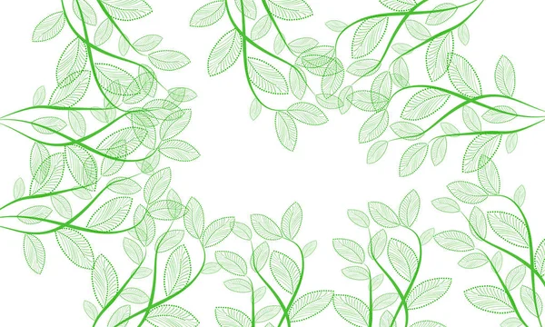 Belle Illustration Plantes Sur Fond — Photo