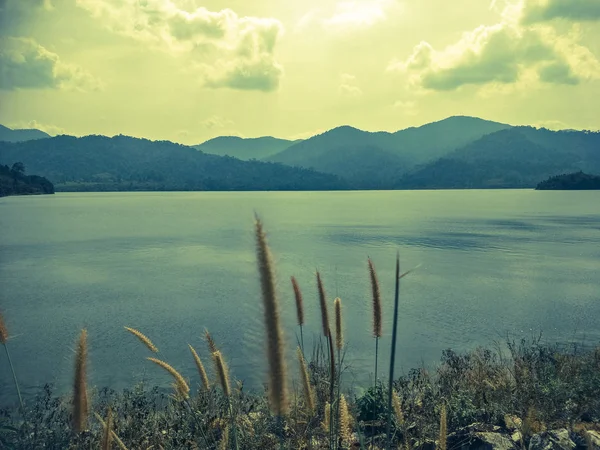 Vacker Dam Thailand — Stockfoto