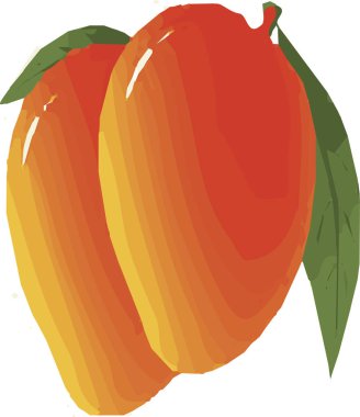 Mango vektör beyaz arka plan üzerinde
