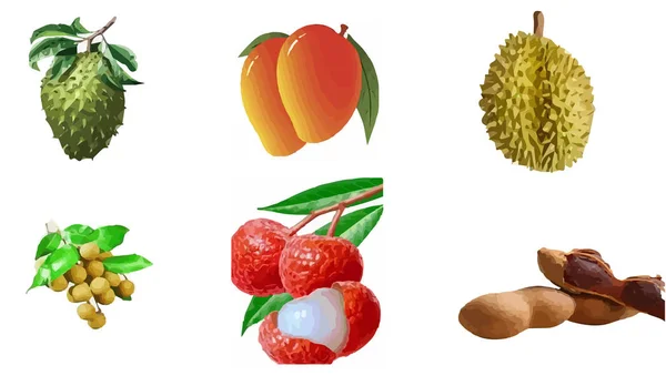 Vecteur Fruits Sur Fond Blanc — Image vectorielle