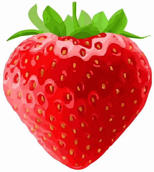 Erdbeeren Vektor Auf Weißem Hintergrund — Stockvektor
