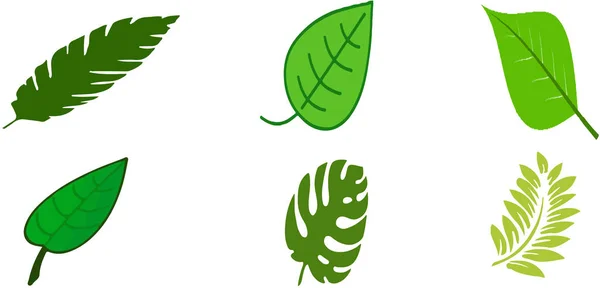 Leaf Icon White Background — Stock Vector