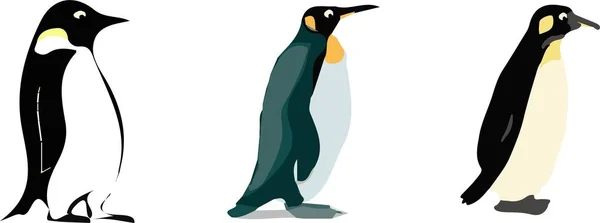 Ícone Pinguim Fundo Branco — Vetor de Stock