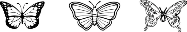 Εικόνα Πεταλούδας Λευκό Φόντο — Διανυσματικό Αρχείο