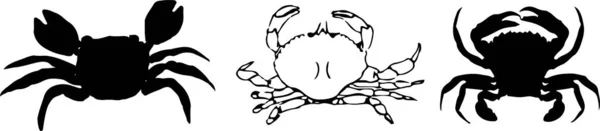 Ikon Kepiting Pada Latar Belakang Putih - Stok Vektor