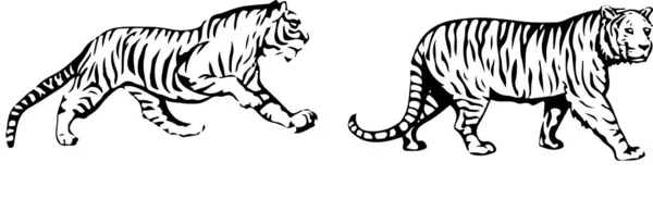 白色背景上的老虎图标 — 图库矢量图片