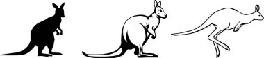 beyaz arka plan üzerinde kangkaroo simgesi