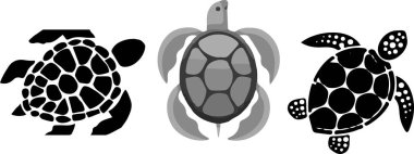 Kaplumbağa simgesi beyaz arka plan üzerinde