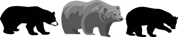 Bear Icoon Witte Achtergrond — Stockvector