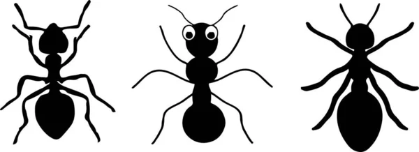 白色背景上的蚂蚁图标 — 图库矢量图片