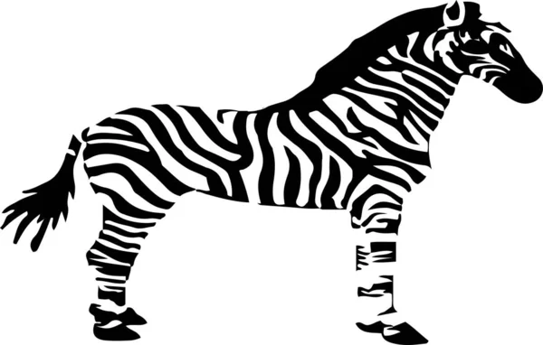 Ícone Zebra Fundo Branco — Vetor de Stock