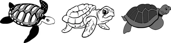 Turtle Ikonen Vit Bakgrund — Stock vektor