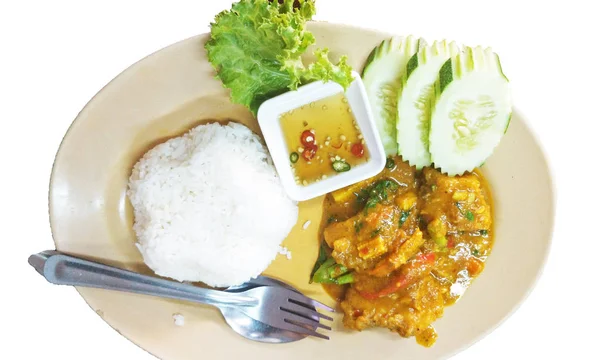 泰国鱼咖喱和热米饭 — 图库照片