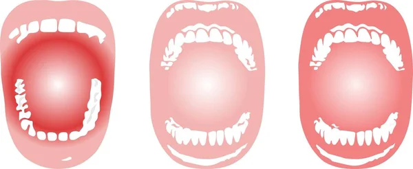 Oral Cavity Icon White Background — Stock Vector