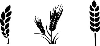 Beyaz arka plan buğday simgesini