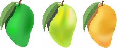 mango beyaz arka plan üzerinde ayarlayın