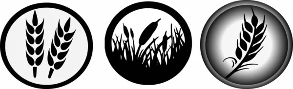 Значок Пшеницы Белом Фоне — стоковый вектор