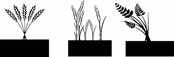 Weizen Symbol Auf Weißem Hintergrund — Stockvektor