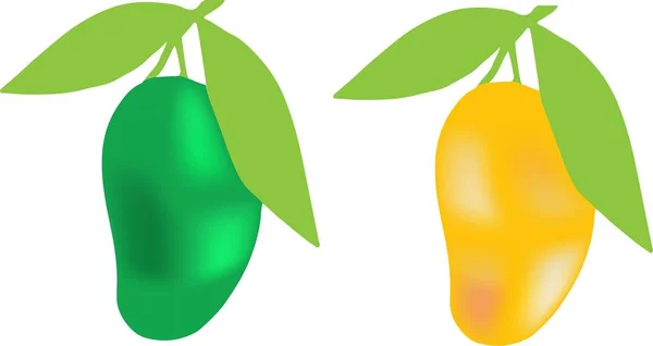 Mango Set White Background — Stock Vector