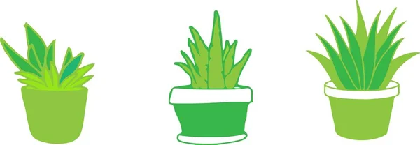 Ikona Aloe Vera Białym Tle — Wektor stockowy