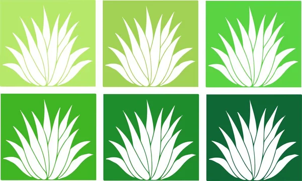 Ikona Aloe Vera Białym Tle — Wektor stockowy