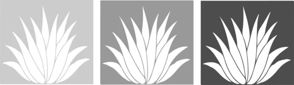 Icône Aloe Vera Sur Fond Blanc — Image vectorielle